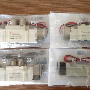 插10个大气管 C10 DC24V 国产电磁阀SY7120