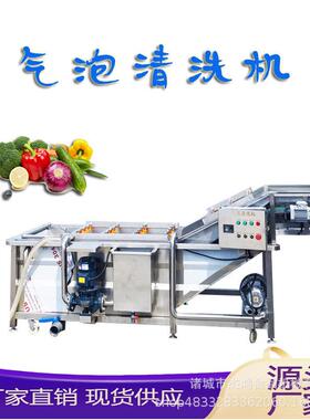 全自动气泡清洗机蔬菜水果清洗设备食物洗菜池冲浪式清洗机