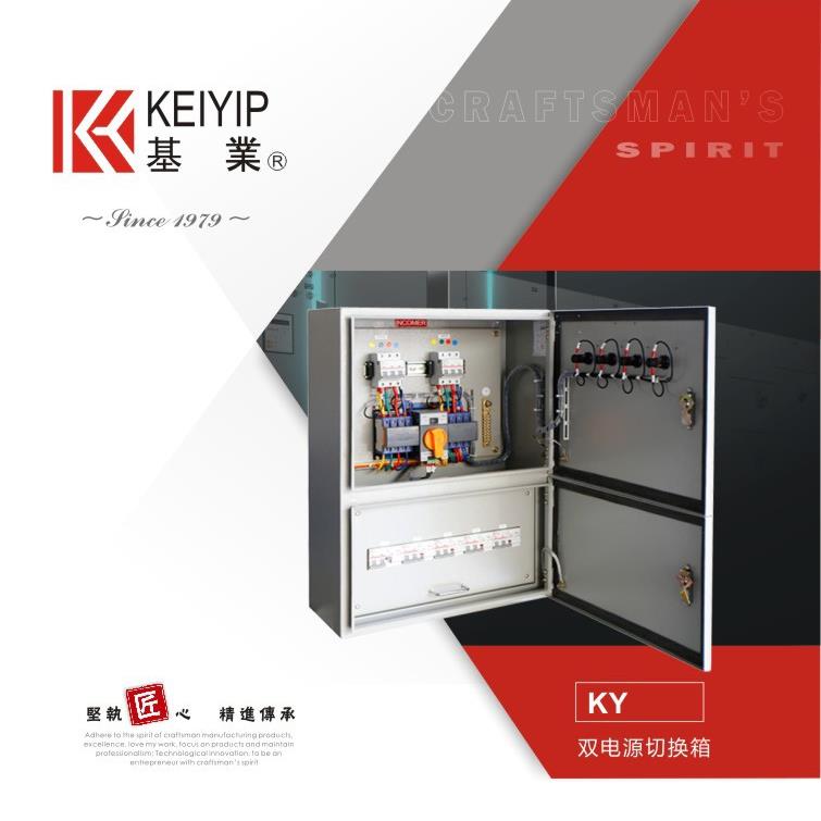 成都特色工艺斜顶户外防水配电箱防雨配电箱户内双电源切换箱