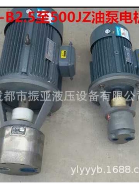 LWBZ-B400CB-B250/300DCB-B350JZ立卧式齿轮油泵电机组液压泵装置