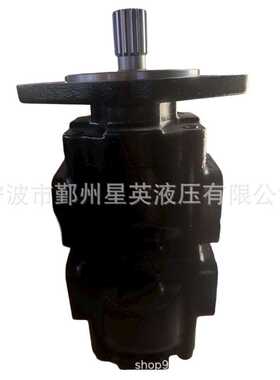 20/925341 20/925581 20/925579 20/925338 20/925578 油泵齿轮泵