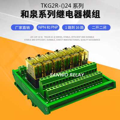 6路和泉IEDC继电器模组模块SANWO RELAY PLC控制器可拔插 RJ2S