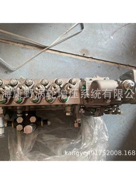 喷油泵13020436 CAW170 和612601080880和612601080606 12U8