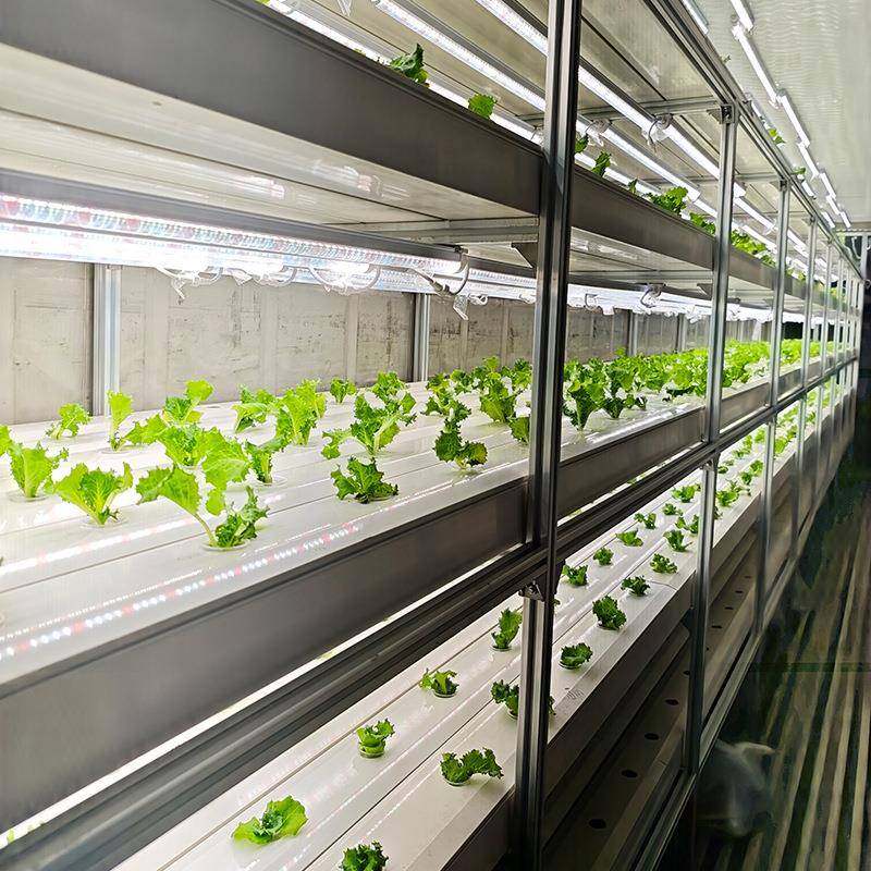 定制叶菜水培及菌种培养两用集装箱智能种植方仓特种养殖设备,畜牧/养殖物资,特种养殖设备,淘宝优惠券,粉丝福利购,淘宝优惠卷