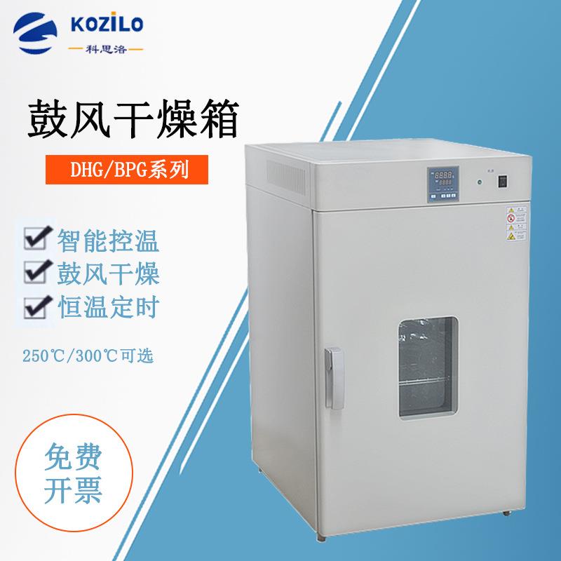 小型实验室烤箱电热恒温鼓风干燥箱300℃高温烘箱成都干燥设备