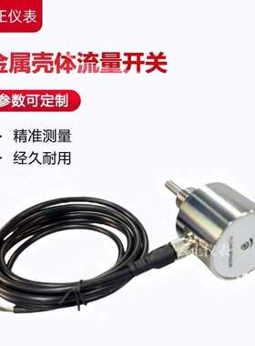 FT11N-G12HDPRQ金属热导式流量开关