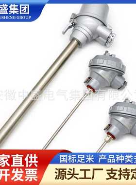 热电阻\WZGPK2-53P2AHG8000-M-2AZ1\PT100\8000\5\0~500℃\G1／2