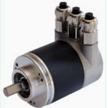 DVM58N-011AGR0BN-1213