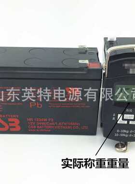 CSB 蓄电池HR 1234W F2 12V9AH 免维护 蓄电池  APC 内置电池