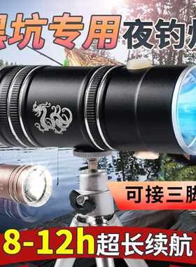 头灯夜钓灯蓝白/蓝黄双光源头戴式防水手电筒充电式强光超亮钓鱼