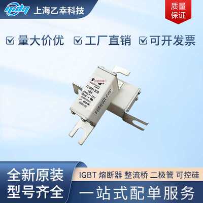 巴斯曼熔断器  170M1757 170M1758 170M1759 170M1760 170M1761