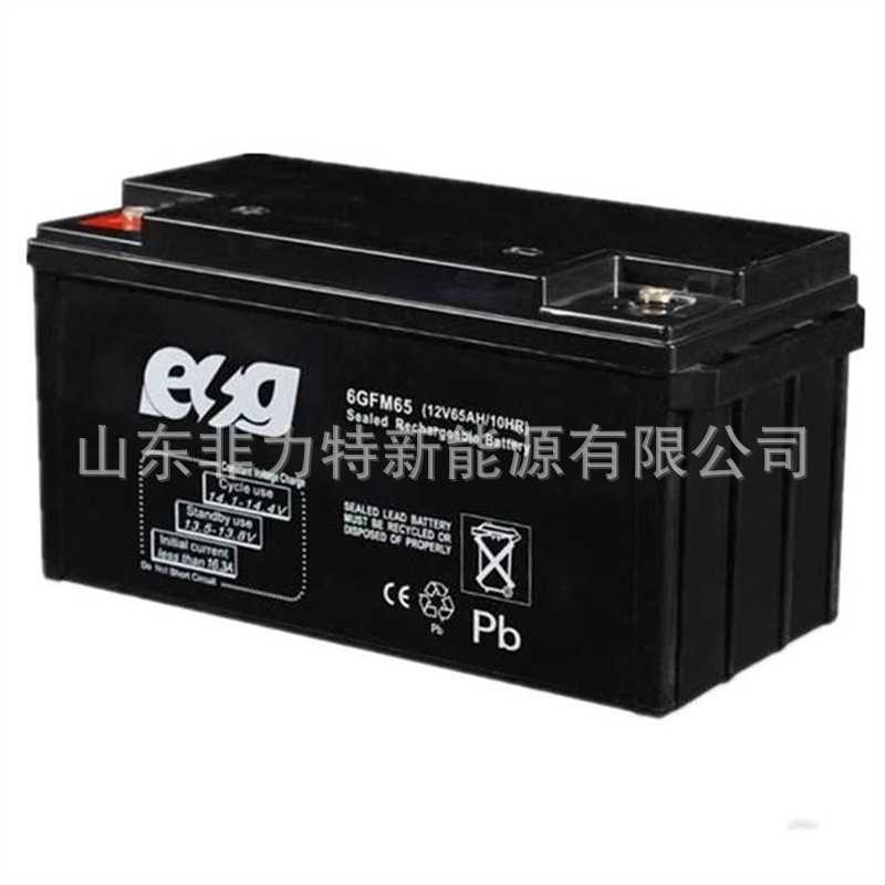 ESG蓄电池6GFM40 12V40AH/10HR高低压配电柜 直流屏 EPS电源