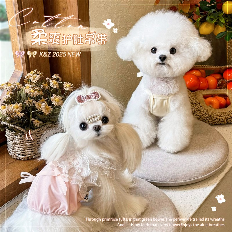 KZ 柔爽春夏吊带小包肚 姐妹装情侣款宠物狗狗猫咪衣服比熊犬服装