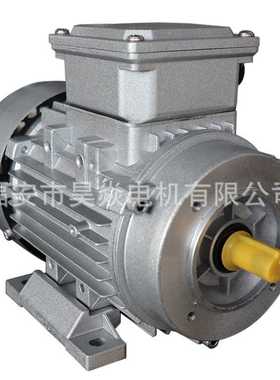 MS100L2-4三相3KW4级交流铝壳电机异步减速机配套220V380V50HZ