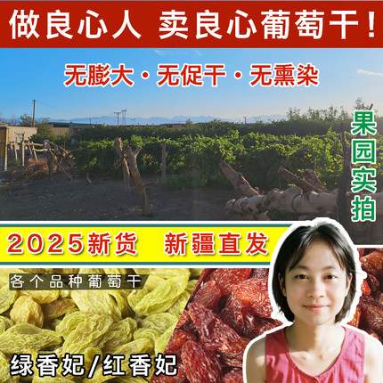 新疆特产吐鲁番大颗粒葡萄干提子新货香妃王特级超大免洗产地直发