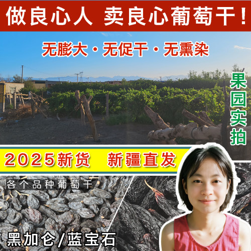 丨新疆农家葡萄干丨黑加仑蓝宝石