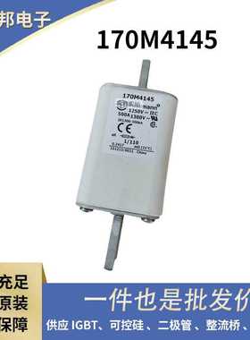 170M3808D 170M3809D 170M3810D 170M3811D原厂快速熔断器 保险丝