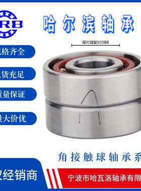 HRB 7201AC-2RZ/P5DBB  哈尔滨角接触轴承 内径12mm 外径32mm 厚1