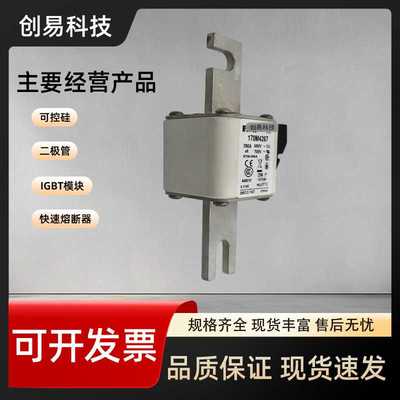 170M4363 170M4364 170M4365 170M4366 170M4367 170M4368熔断器