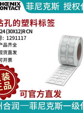 带钻孔的塑料标签 - EMLP 24 (30X12)R CN - 1291117