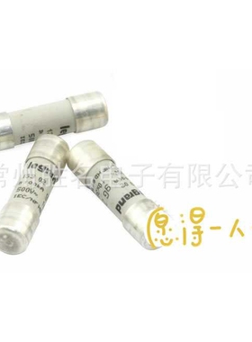 品质legrand 保险丝22*58 500V gG 63A80A100A50A16A20A40A 15363