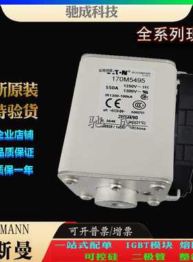 巴斯曼170M5495 170M5496 170M5497 加工制作销售  快熔保险丝