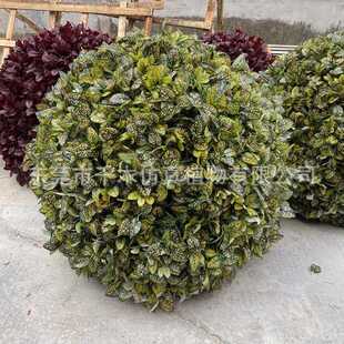 仿真灌木球树假海桐球草球树绿化道小叶黄杨万年青金边黄杨灌木球