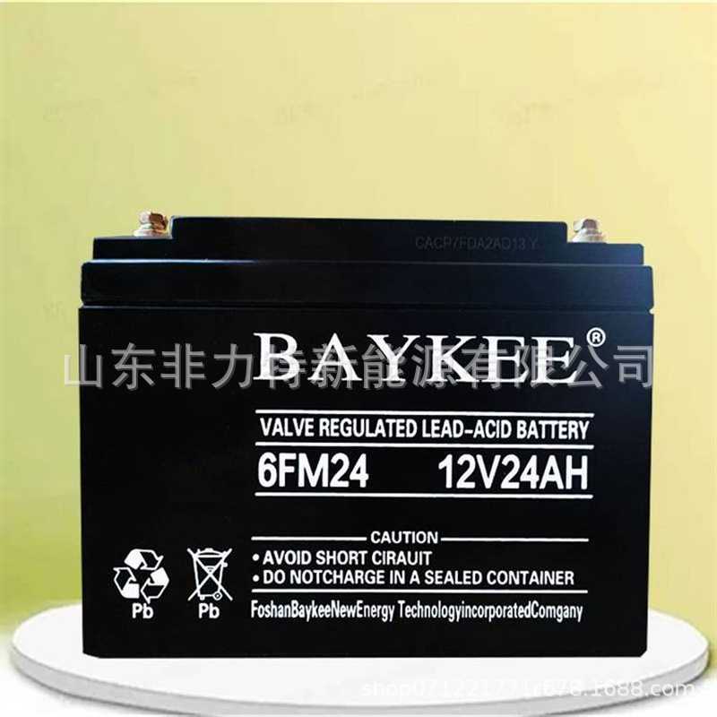 柏克BAYKEE蓄电池6FM12铅酸免维护12V12AH安防门禁设备UPS电源