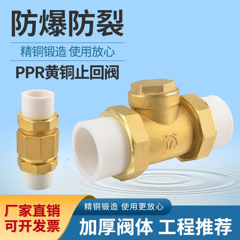 4/6分热熔止回阀黄铜卧立式逆止20/25PPR双活接自来水管表单向阀