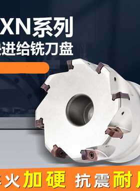 EXN03R 数控双面 快进给铣刀盘  LNMU0303 跨境 不含税