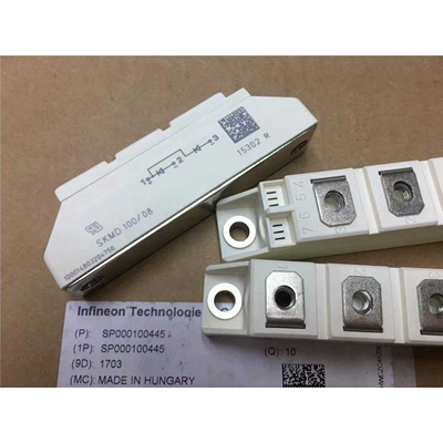 SKMD100/08 SKMD100/12 SKMD100/18E SKMD100/14 SKNH56/16E