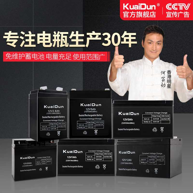 12v5ah蓄电池12v5ah电瓶12v5a蓄电池门禁后备电源UPS备用电源12v