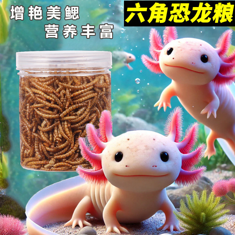 六角恐龙鱼饲料蝾螈专用粮高蛋白
