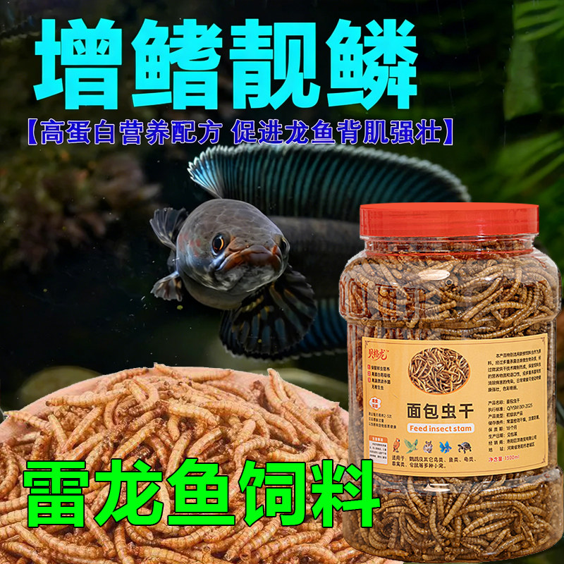 雷龙鱼专用饲料面包虫干黄金眼镜蛇彩虹雷龙鱼食阿萨姆巴卡增色粮