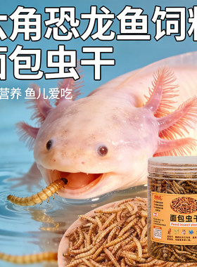 六角恐龙鱼饲料面包虫干蝾螈专用鱼食招财猫鱼口粮雷龙鱼专用鱼食