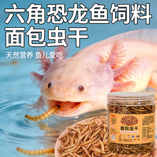六角恐龙鱼饲料面包虫干蝾螈专用鱼食招财猫鱼口粮雷龙鱼专用鱼食