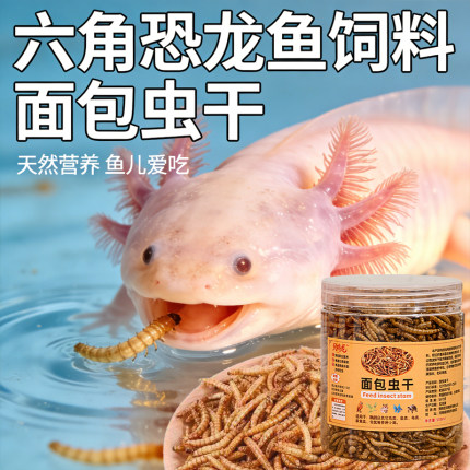 六角恐龙鱼饲料面包虫干蝾螈专用鱼食招财猫鱼口粮雷龙鱼专用鱼食