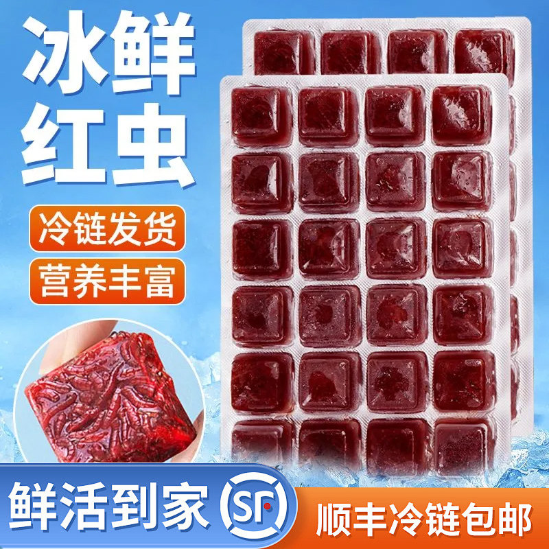 冰冻红虫龙鱼专用鱼粮龟粮六角恐龙鱼鱼食红赤虫雷龙鱼通用型鱼食