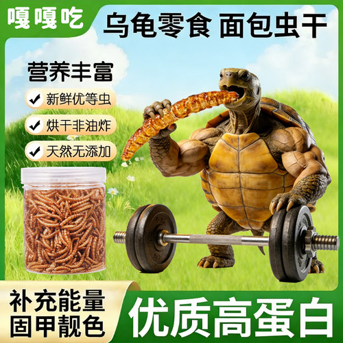 乌龟饲料面包虫干条状虫干龟粮