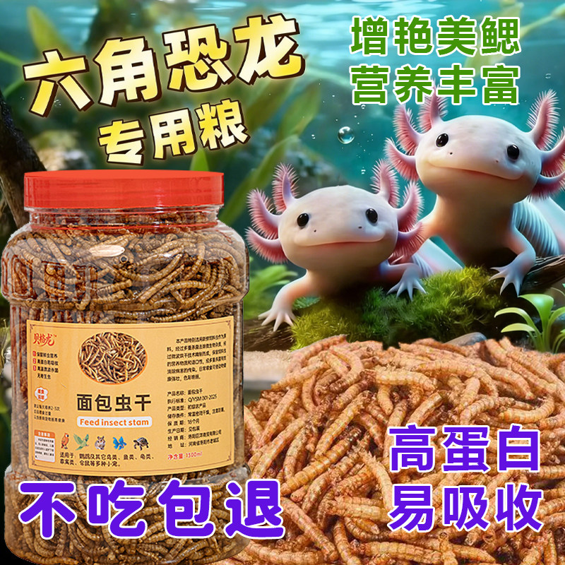 个大面包虫六角恐龙专用面包虫干批发罐装鱼粮龙鱼食六角恐龙饲料