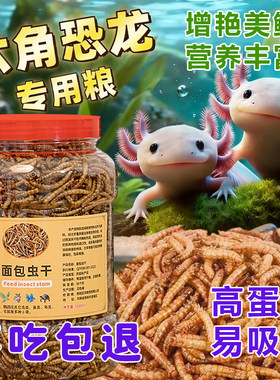 个大面包虫六角恐龙专用面包虫干批发罐装鱼粮龙鱼食六角恐龙饲料