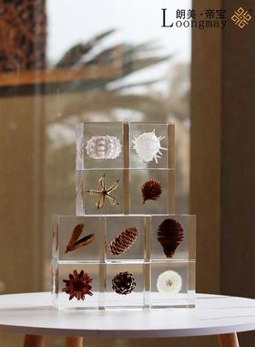 植物标本蒲公英蝴蝶透明摆件客厅书房现代轻奢树脂设计师软装饰品