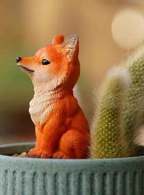 九尾狐狸多肉花盆景装饰摆件户外微景观猴尾柱造景白色小狐狸尾巴