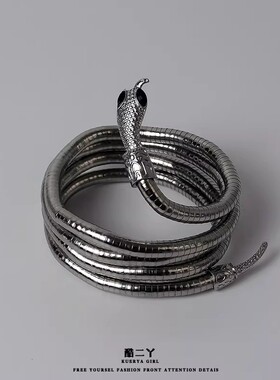 暗黑冷淡风缠绕蛇形项圈