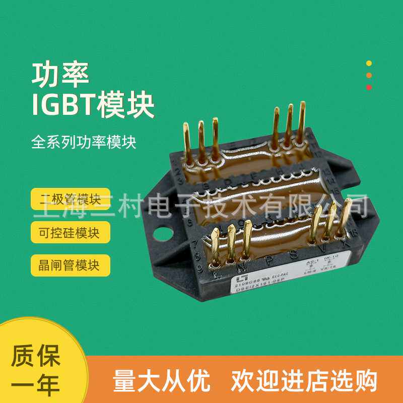 二极管块DSEI2X101-12A 121-02A DSEP2X25-12C 2X31-03A-04A-06A