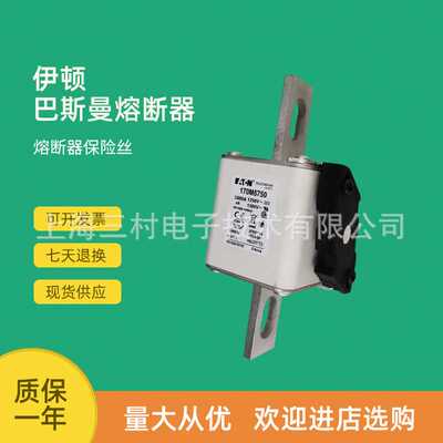 全新原装快速熔断器保险丝170M5973 170M5974 170M5975 5981 5982
