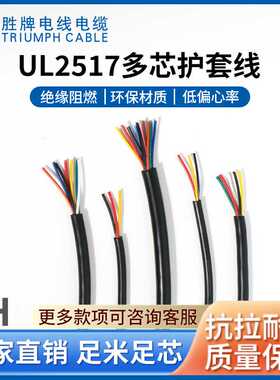 胜牌 FEP芯线绝缘多芯护套线 30AWG-2~10C多规格可选 传感器引线