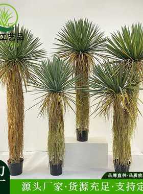 仿真绿植稻草人假植物盆栽蓝长序龙舌兰树室内外装饰丝兰树摆件