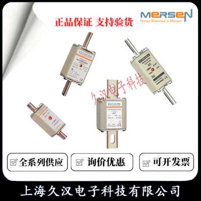 罗兰熔断器BS000GB69V100P/F330124  BS000GB69V125P/G330125
