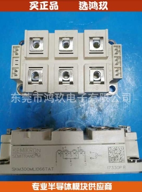 SKM300MLI066ATA  GD300MLT65C2S 保险管模块